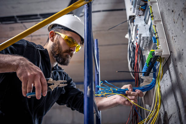 Best Affordable Electrician  in Cedar Creek, TX