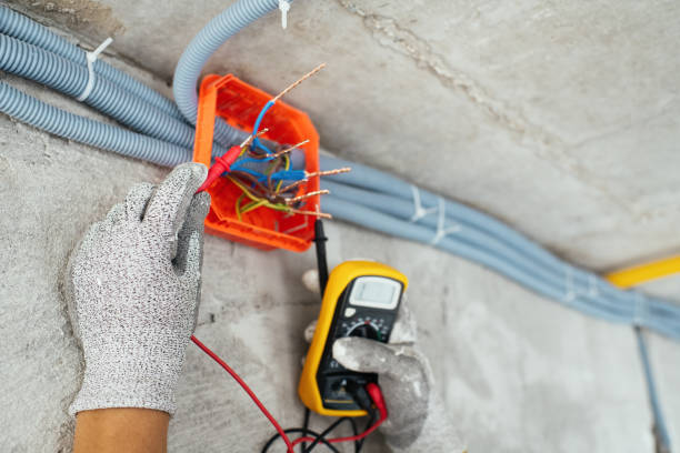 Best Affordable Electrician  in Cedar Creek, TX